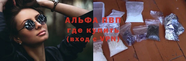 индика Семёнов