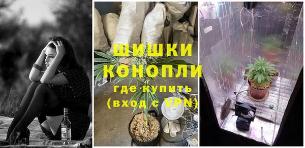 дурь Верея