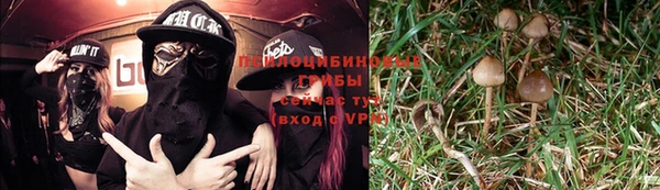 не бодяженный Бугульма