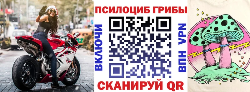Галлюциногенные грибы ЛСД  где купить наркоту  Грайворон 